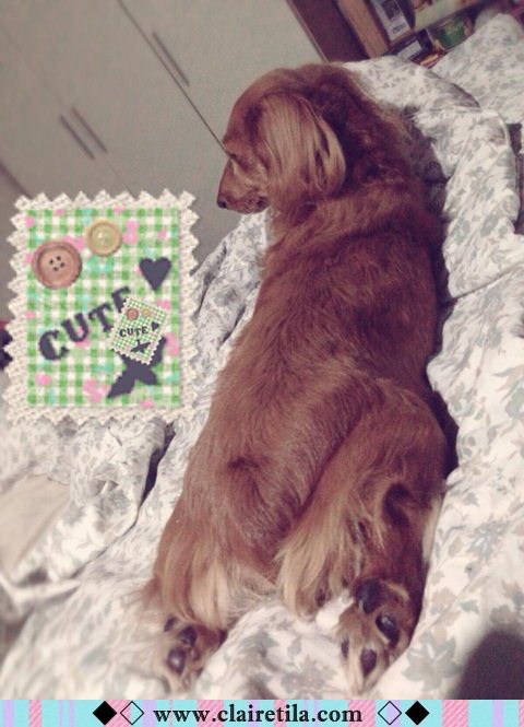 20251024-4g0lq 20251024-4g0lq