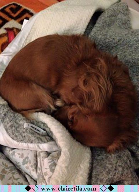 20251024-4t7l0 20251024-4t7l0