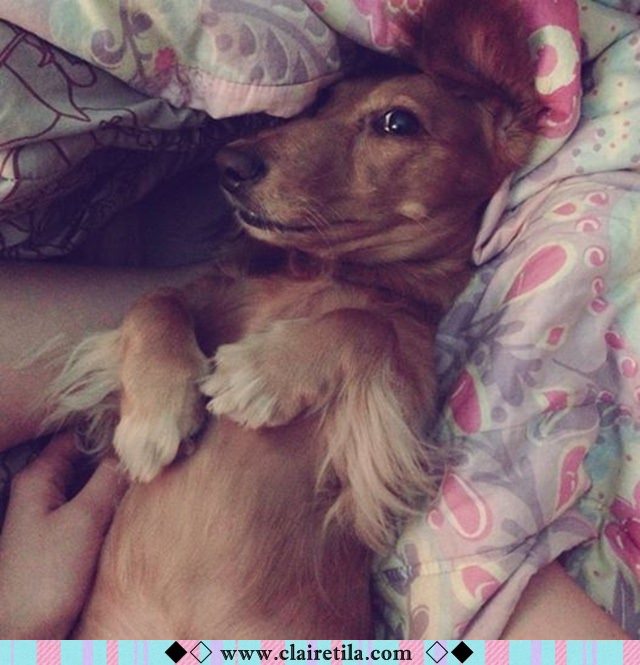 20251024-84oo3 20251024-84oo3