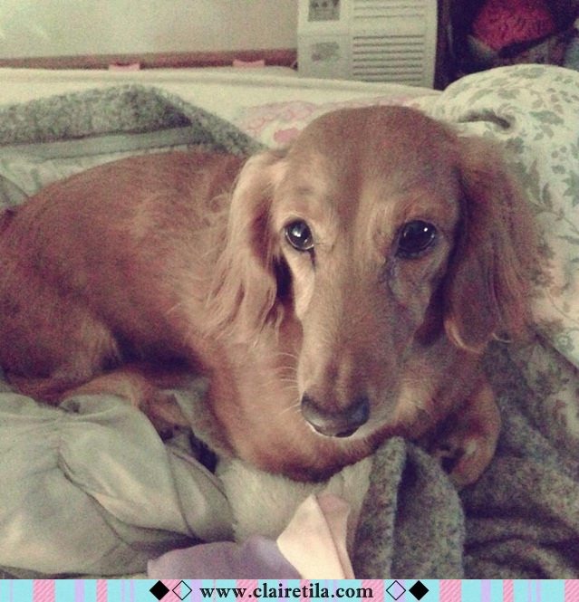 20251024-8rane 20251024-8rane