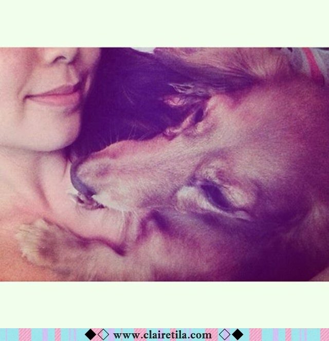 20251024-bobo9 20251024-bobo9