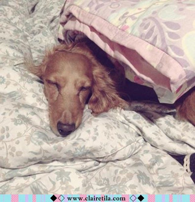 20251024-brut3 20251024-brut3