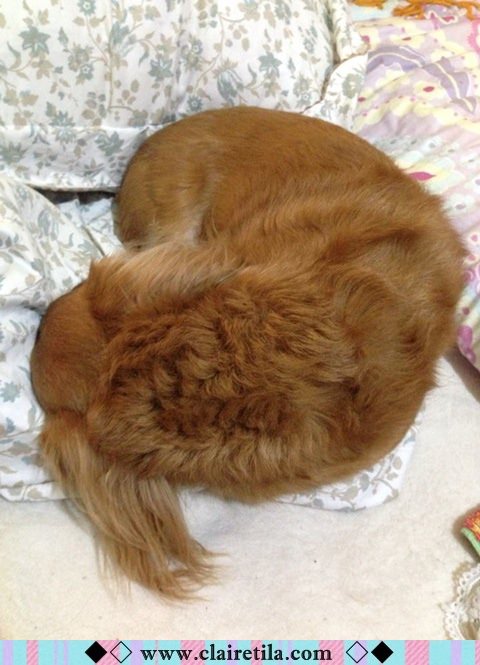 20251024-bywai 20251024-bywai