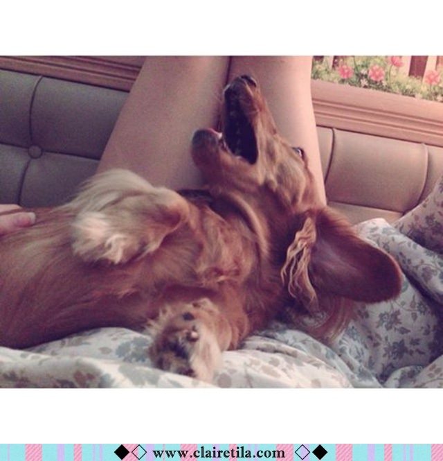 20251024-cs4ai 20251024-cs4ai