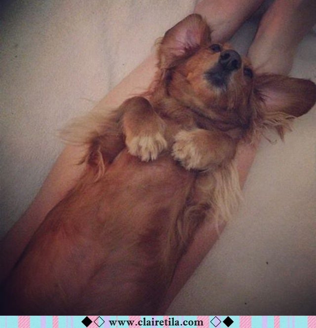 20251024-cu5tk 20251024-cu5tk