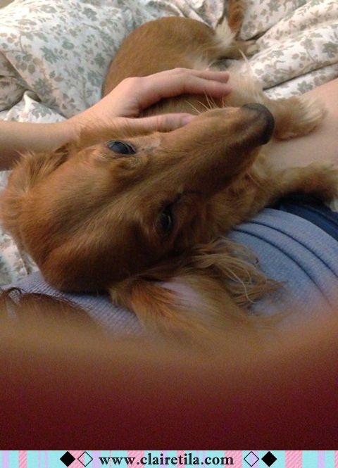 20251024-dhn7z 20251024-dhn7z