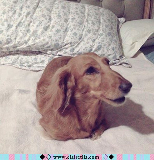 20251024-dlqw9 20251024-dlqw9