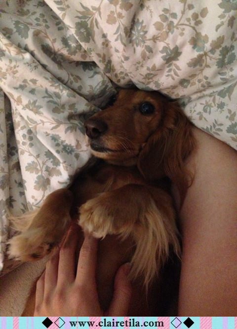 20251024-fu2v4 20251024-fu2v4