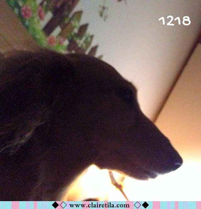 20251024-fwi5i 20251024-fwi5i