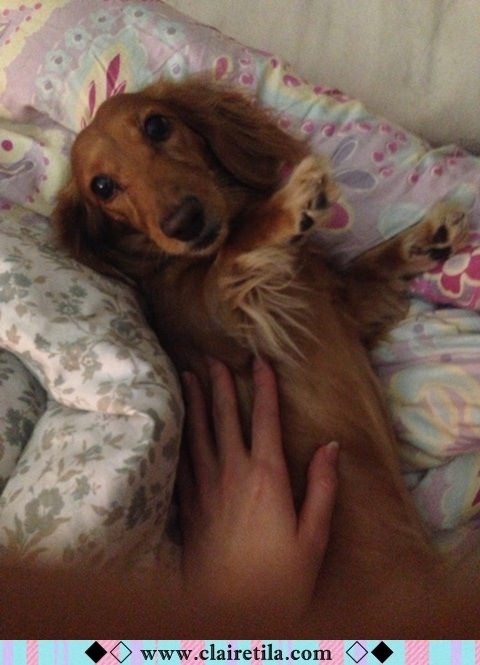 20251024-g3r5e 20251024-g3r5e