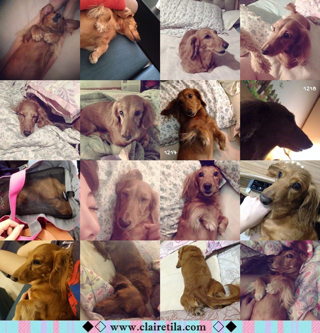 20251024-gy0cj 20251024-gy0cj