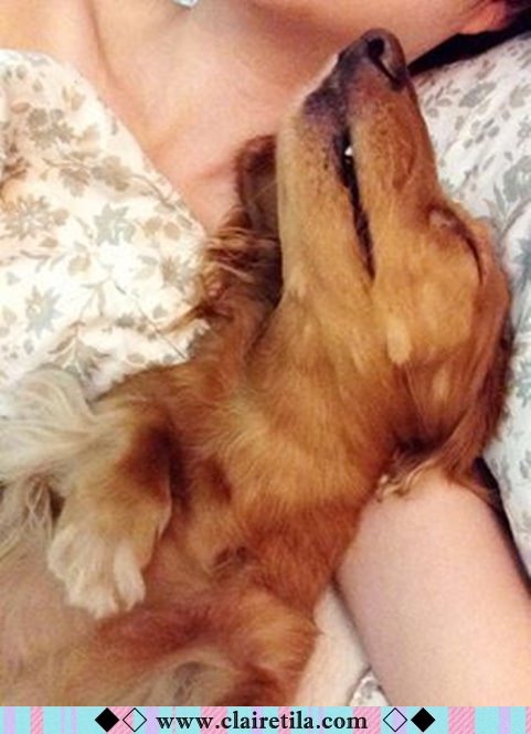 20251024-h0m6b 20251024-h0m6b