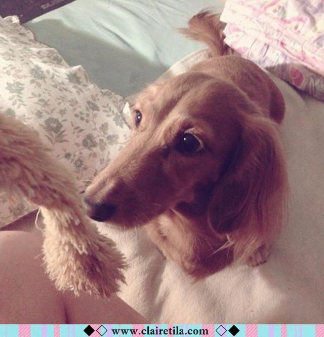 20251024-hsesj 20251024-hsesj