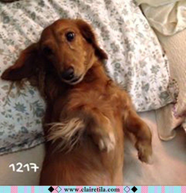 20251024-hwps7 20251024-hwps7