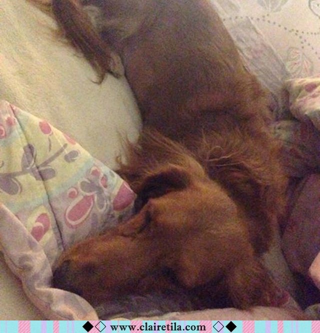 20251024-ifum2 20251024-ifum2