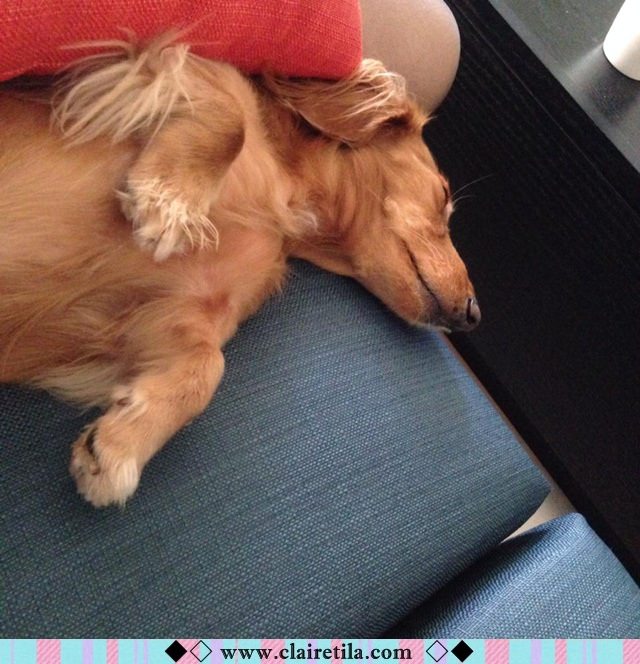 20251024-kg2xk 20251024-kg2xk