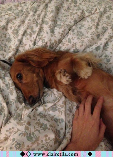 20251024-mrv8m 20251024-mrv8m