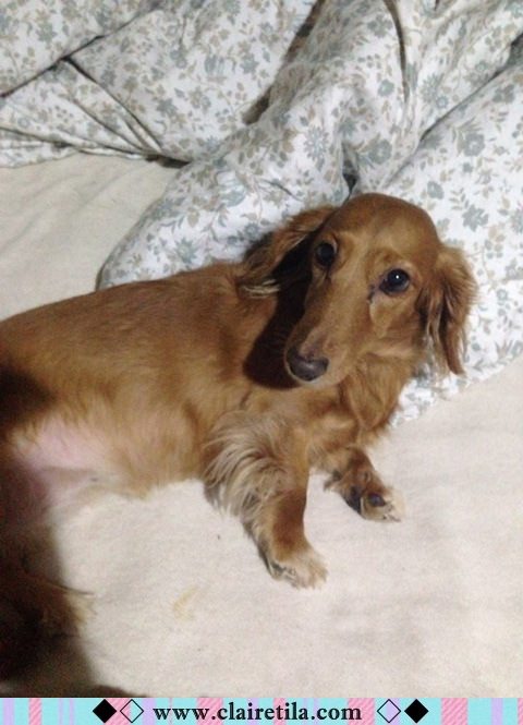 20251024-n93sx 20251024-n93sx