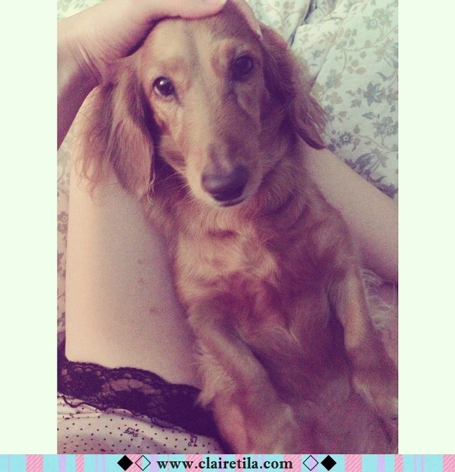 20251024-rj5cq 20251024-rj5cq