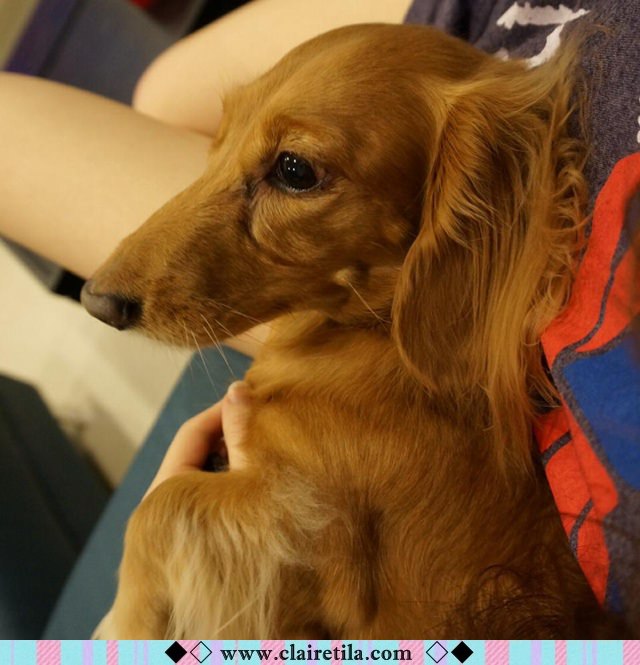 20251024-runl0 20251024-runl0