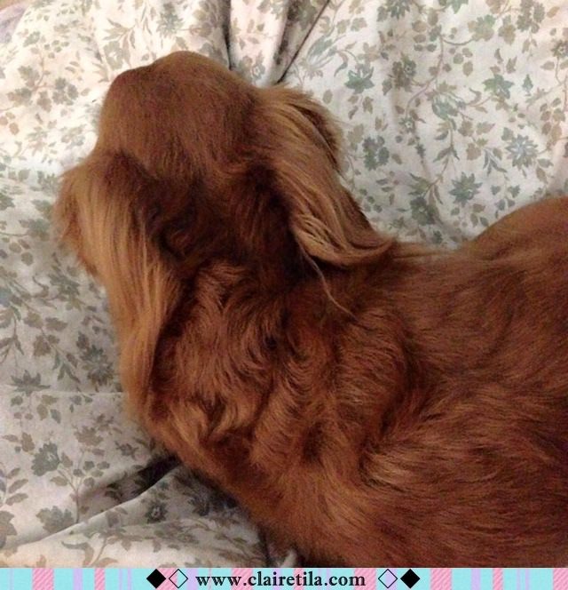 20251024-trlhd 20251024-trlhd