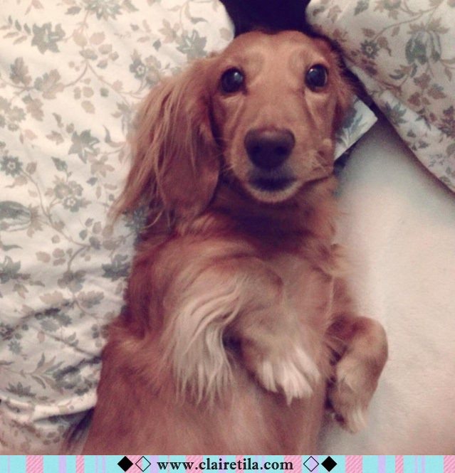 20251024-ud6ae 20251024-ud6ae