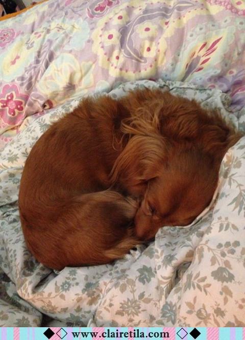 20251024-w2t3s 20251024-w2t3s