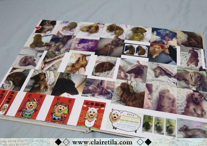 20251024-x8rbp 20251024-x8rbp