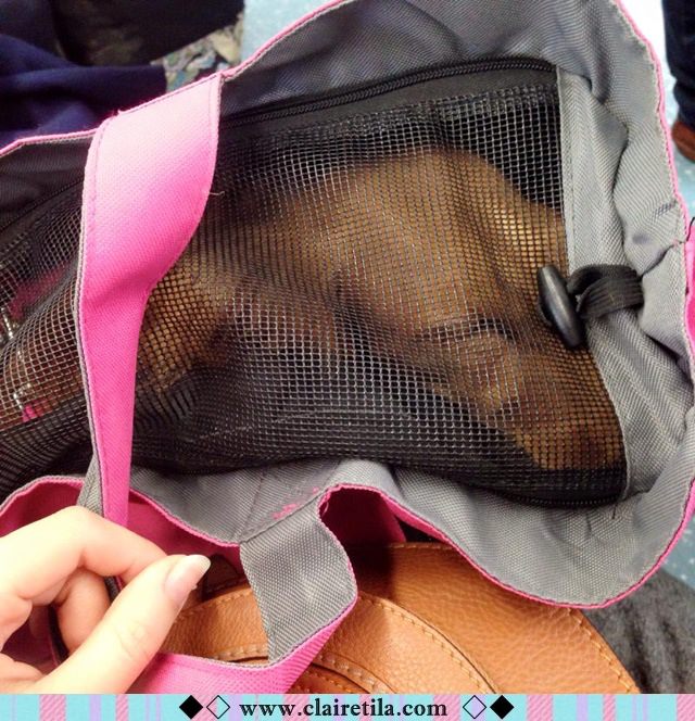 20251024-xv0rb 20251024-xv0rb