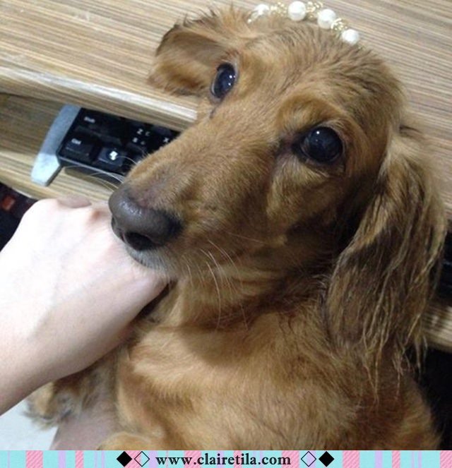 20251024-zpap2 20251024-zpap2