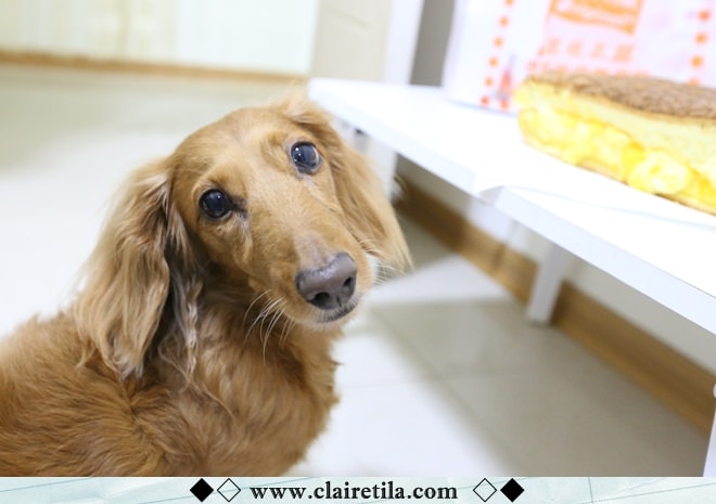 20251024-22pk3 20251024-22pk3