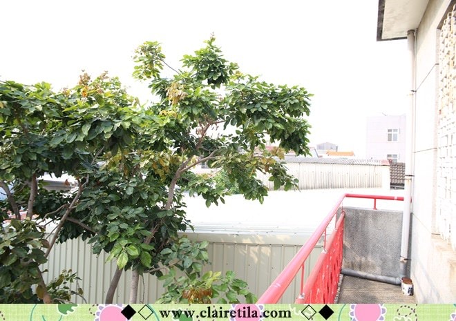 20251024-2yghu 20251024-2yghu