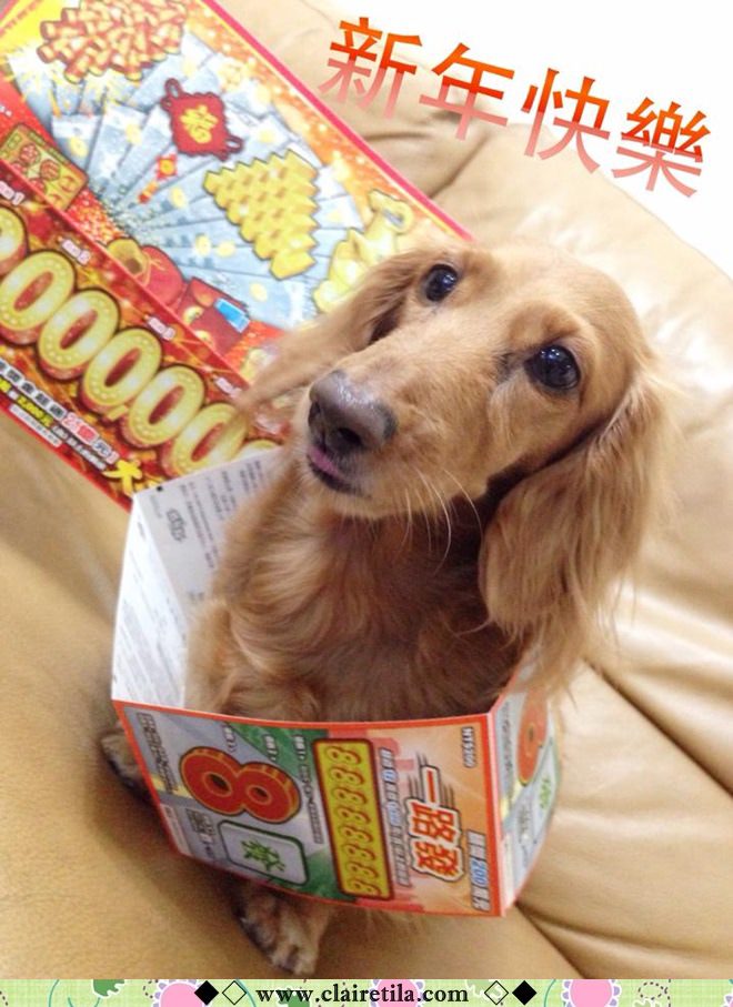 20251024-4s1m8 20251024-4s1m8