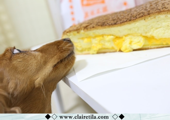 20251024-6gvi8 20251024-6gvi8