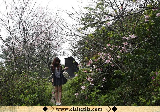 20251024-6om7q 20251024-6om7q