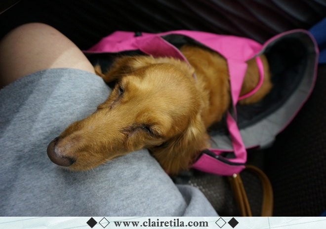 20251024-6wfnk 20251024-6wfnk