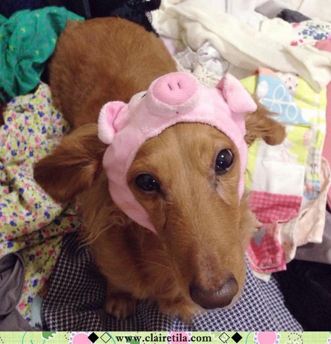 20251024-kj9ws 20251024-kj9ws