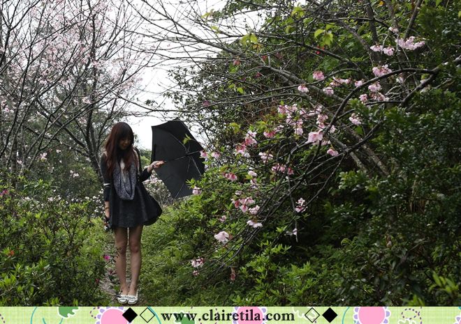 20251024-nkdb8 20251024-nkdb8