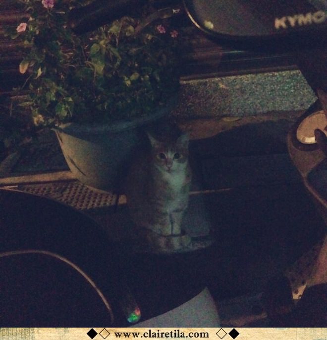 20251024-po0ex 20251024-po0ex