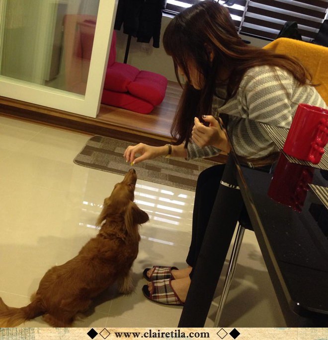 20251024-y0xyz 20251024-y0xyz