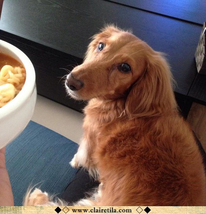 20251024-yir7q 20251024-yir7q