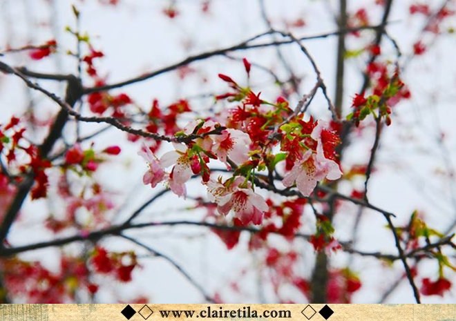 20251024-zbzou 20251024-zbzou