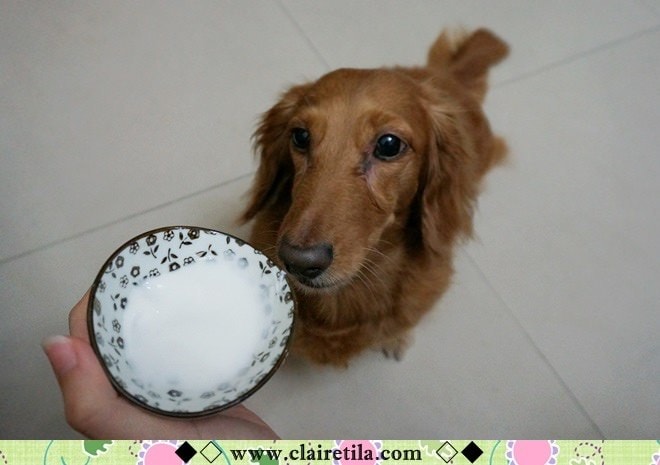 20251024-2de8d 20251024-2de8d