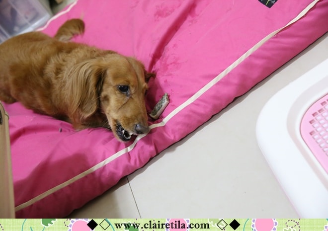 20251024-3h5p7 20251024-3h5p7