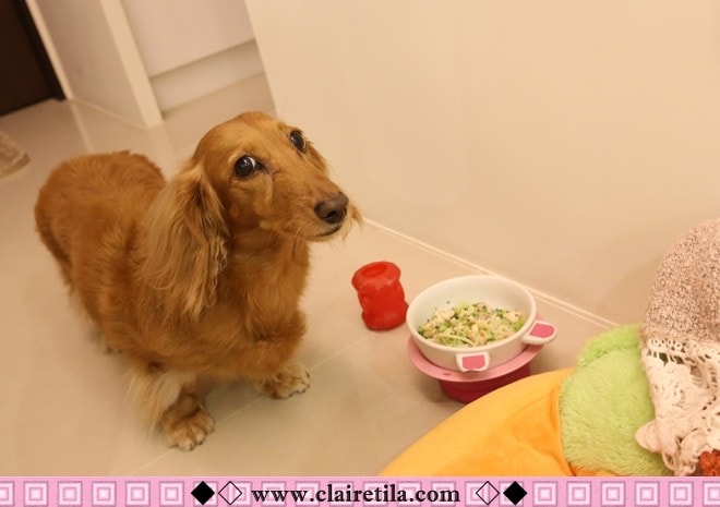 20251024-3jzo8 20251024-3jzo8