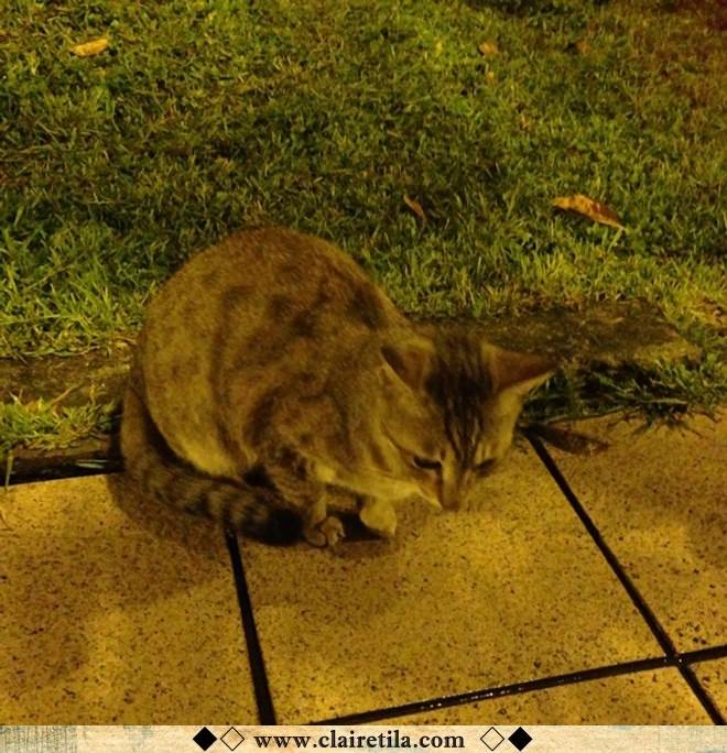 20251024-6cbi3 20251024-6cbi3