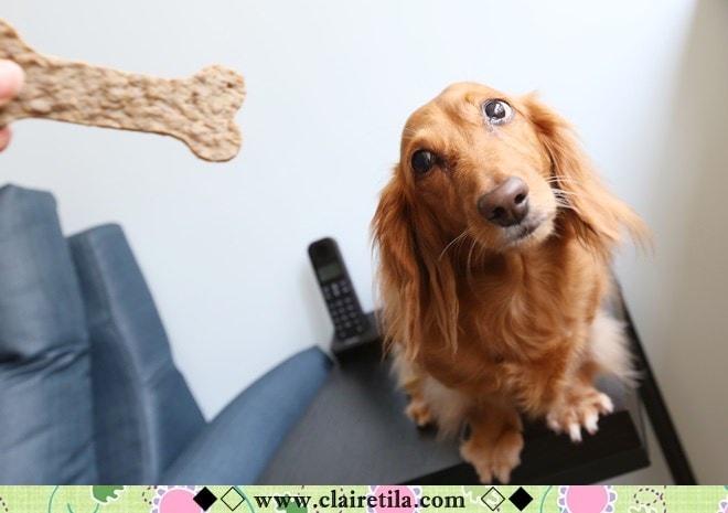 20251024-8vjri 20251024-8vjri