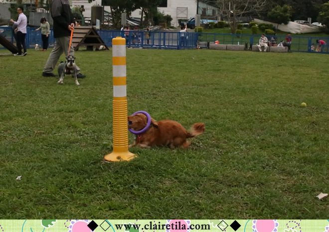 20251024-9yd7j 20251024-9yd7j