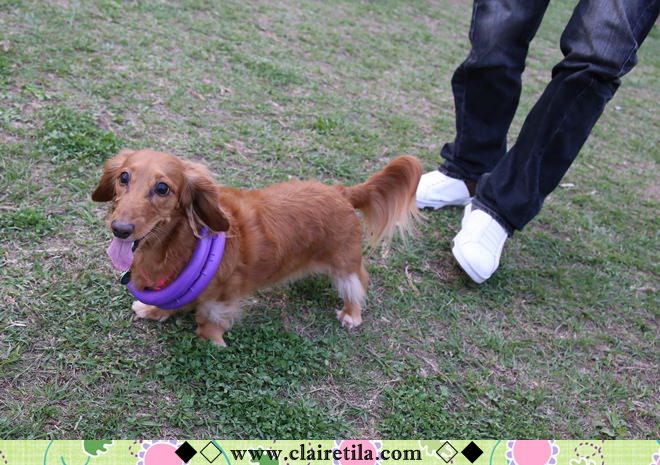 20251024-aa6el 20251024-aa6el