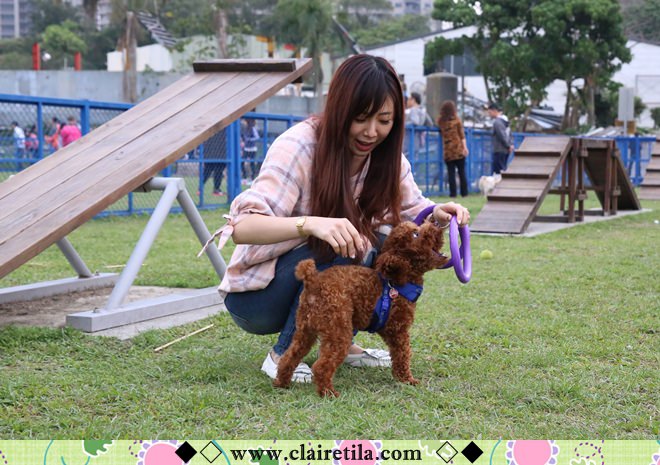 20251024-bgzgr 20251024-bgzgr